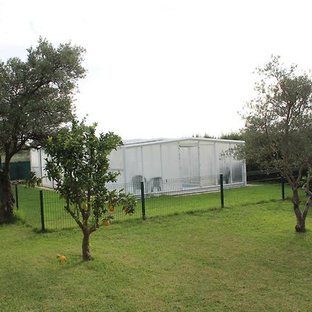 Ferienwohnung La Huertarrona Candeleda Exterior foto
