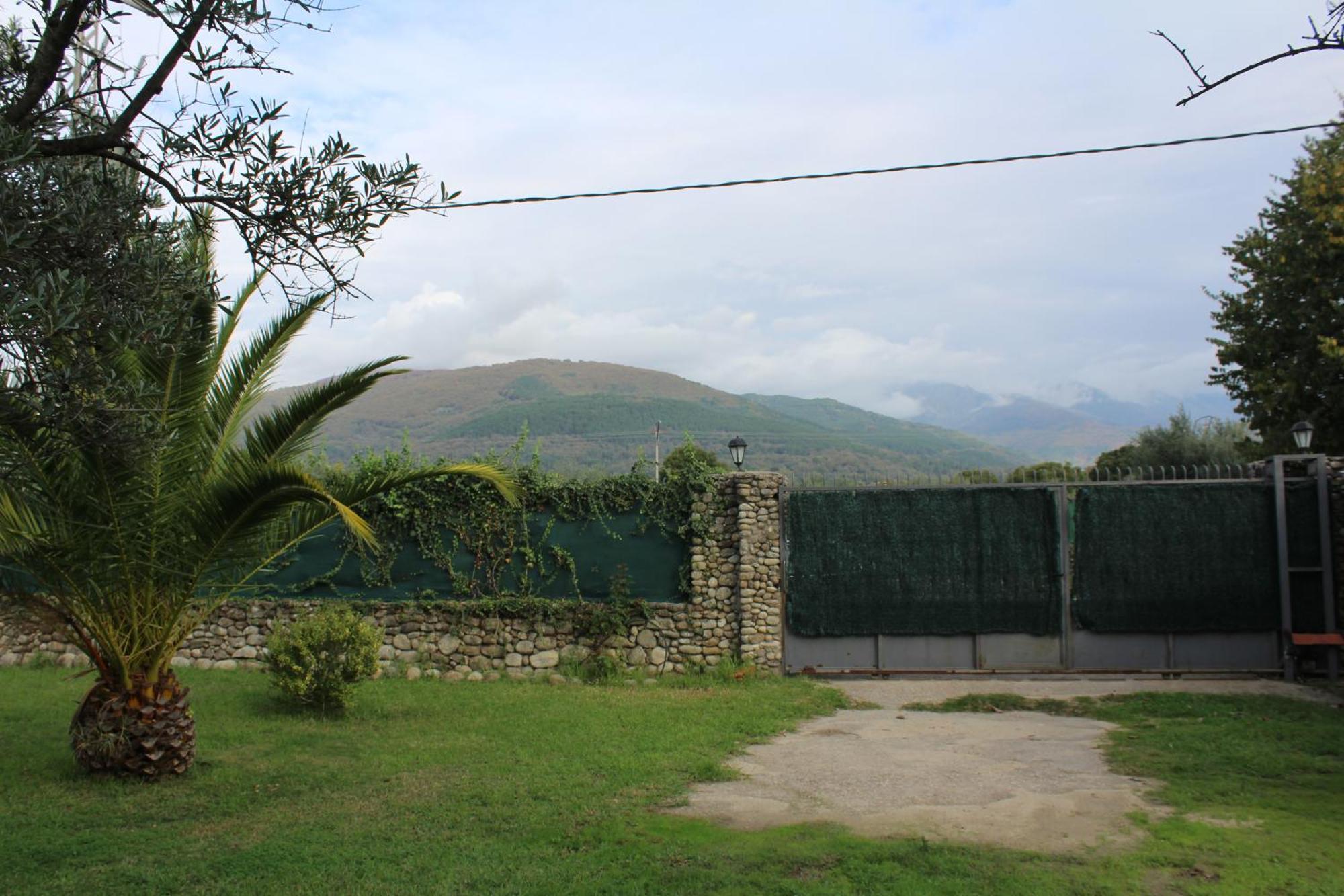 Ferienwohnung La Huertarrona Candeleda Exterior foto