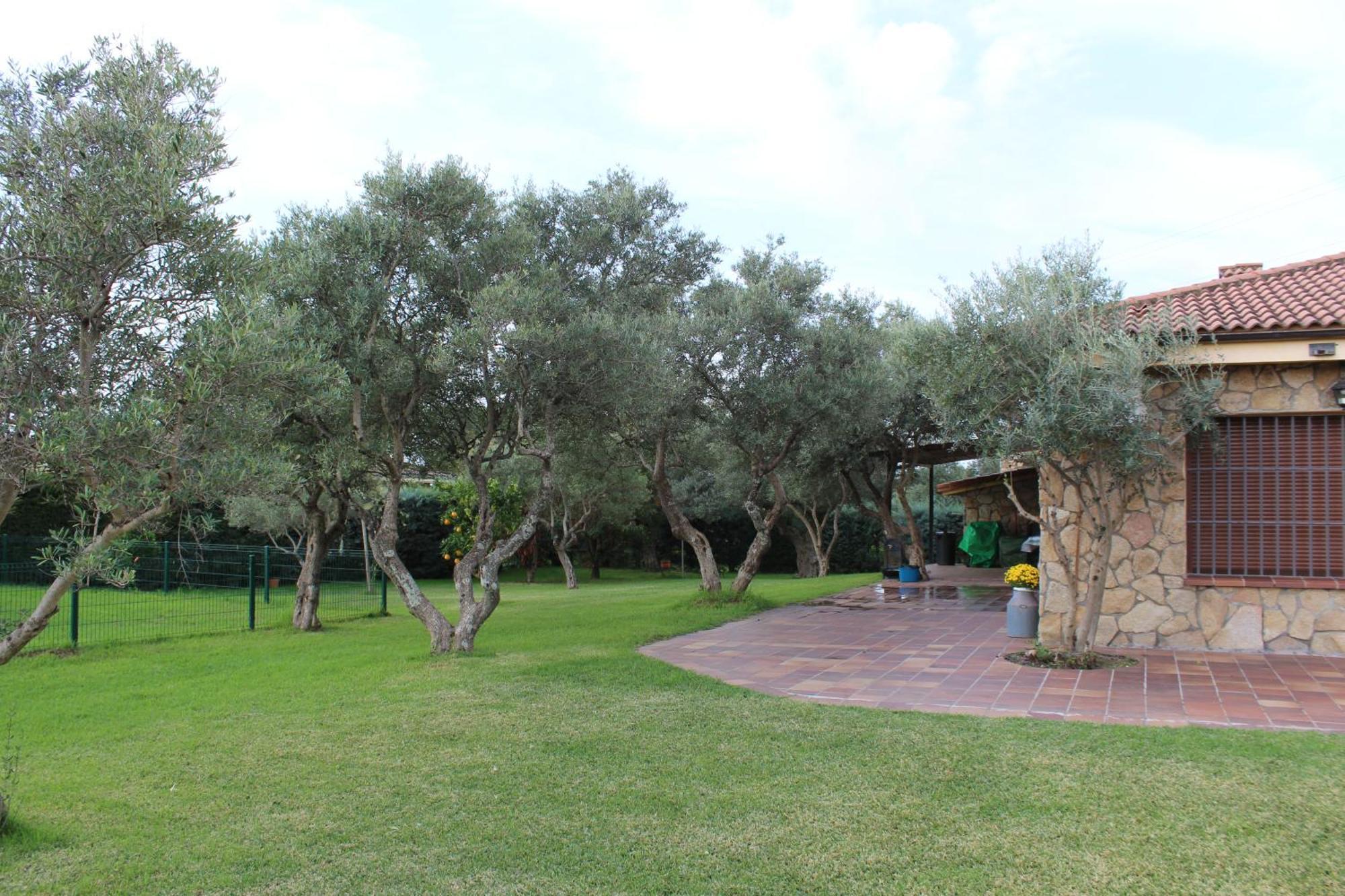 Ferienwohnung La Huertarrona Candeleda Exterior foto