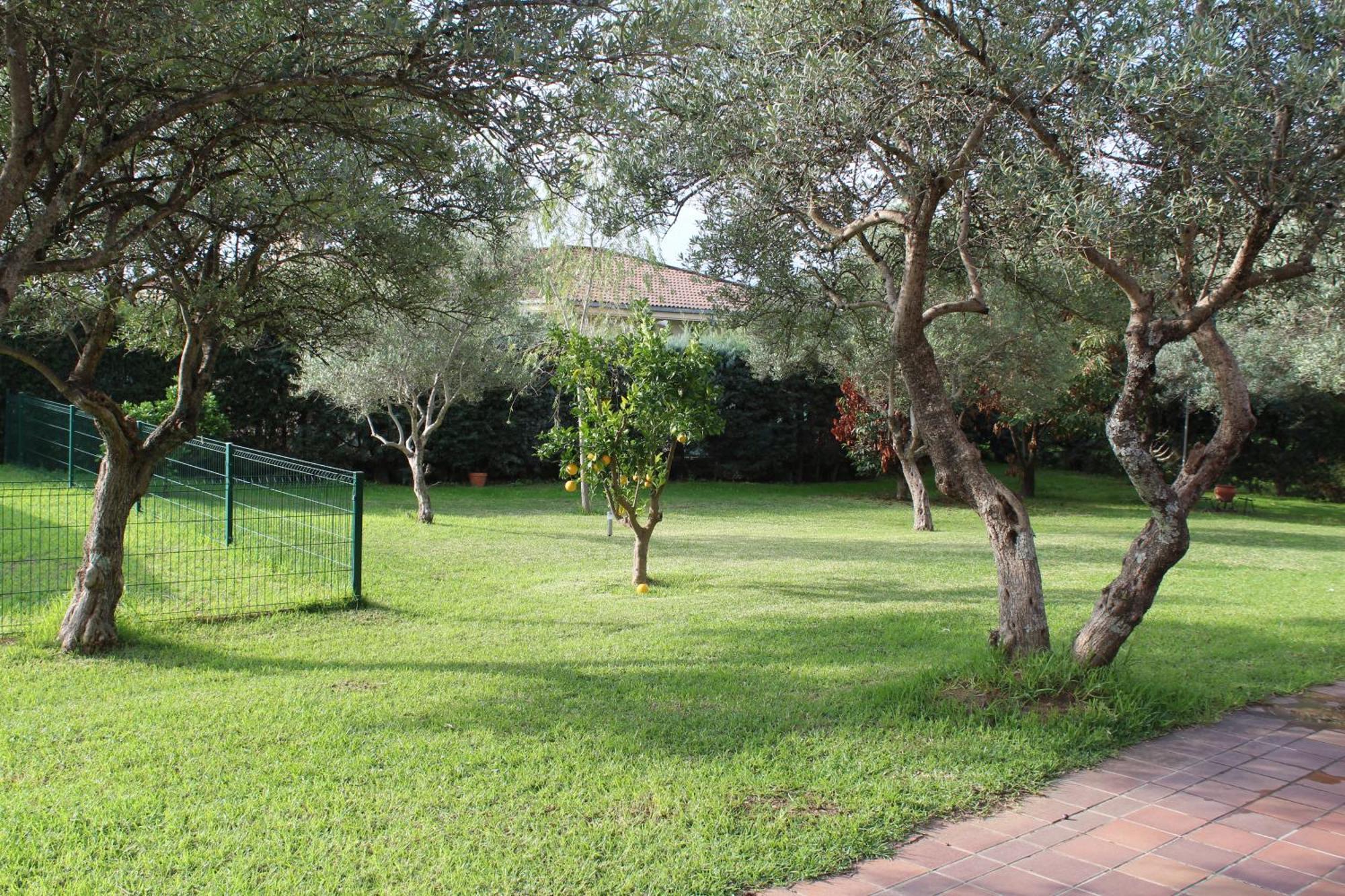 Ferienwohnung La Huertarrona Candeleda Exterior foto
