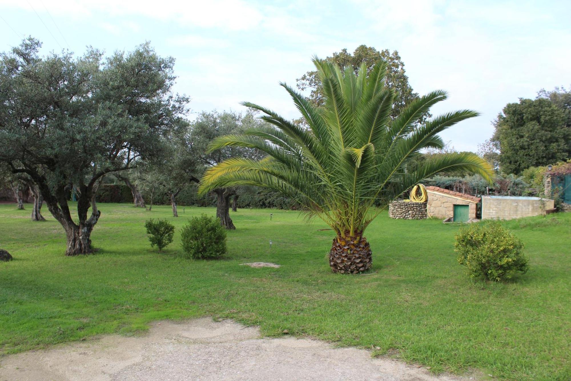 Ferienwohnung La Huertarrona Candeleda Exterior foto