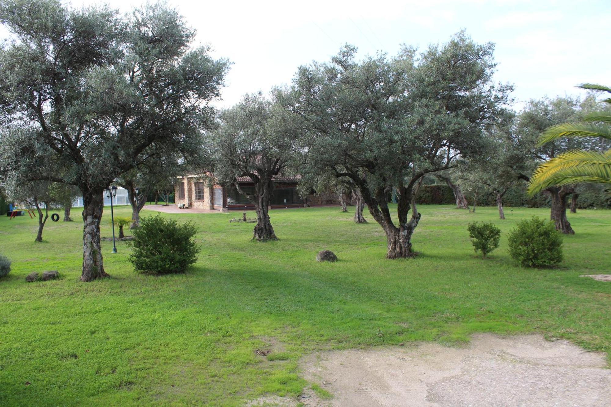 Ferienwohnung La Huertarrona Candeleda Exterior foto