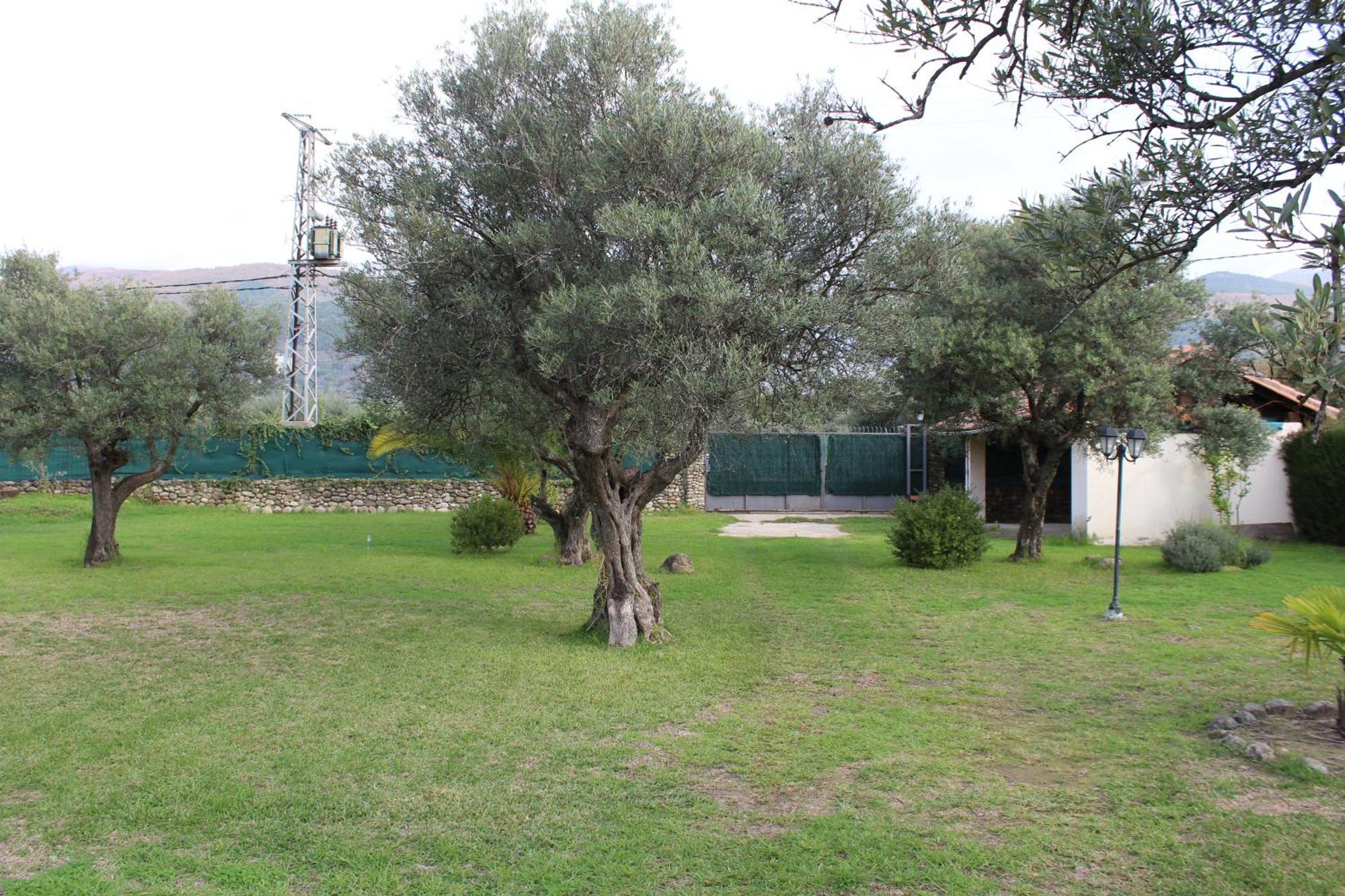 Ferienwohnung La Huertarrona Candeleda Exterior foto
