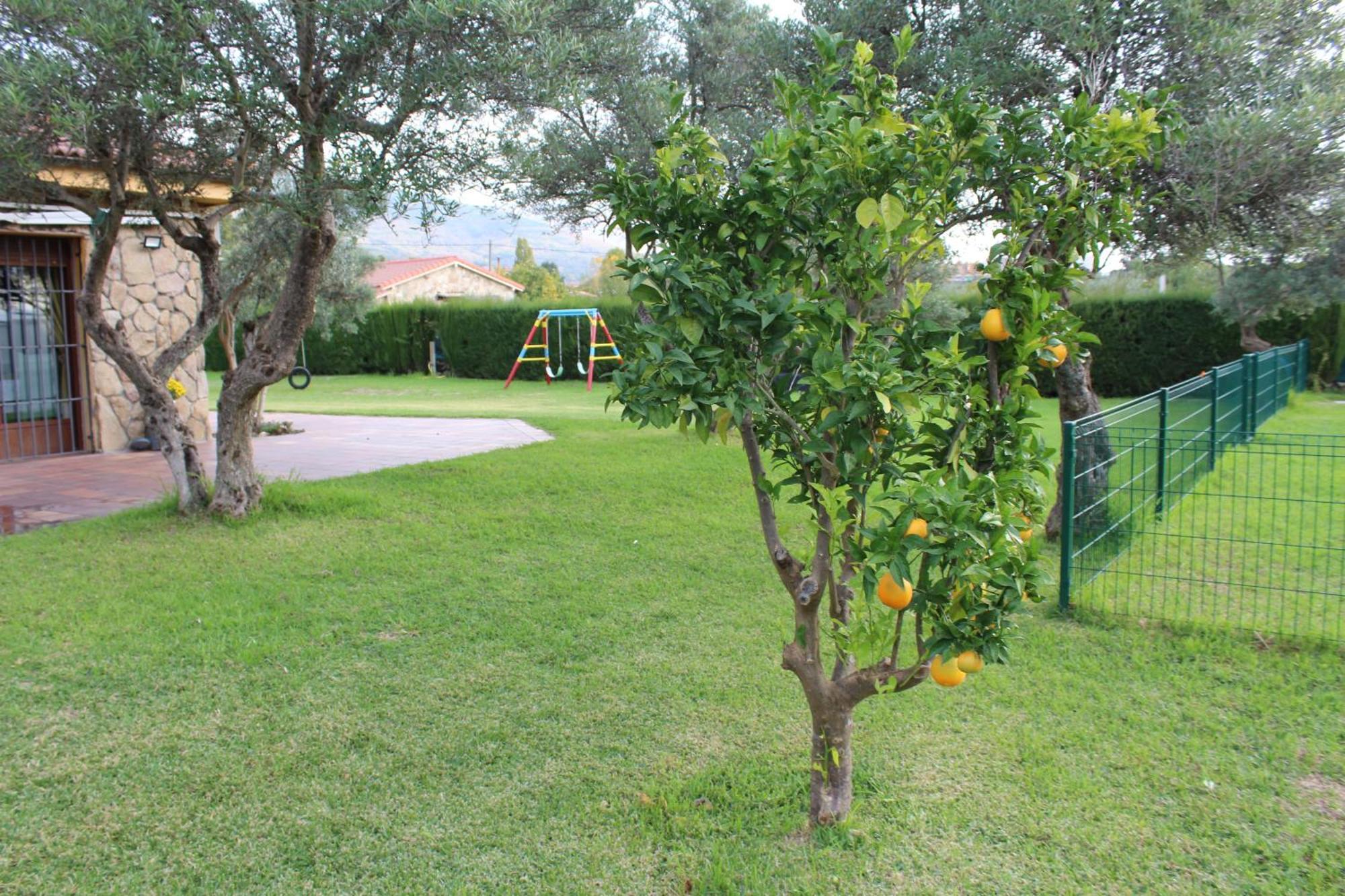 Ferienwohnung La Huertarrona Candeleda Exterior foto